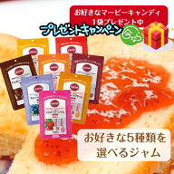 【 もれなく マービーキャンディ 1袋 プレゼント 】 ジャム 5種類 選べる 小分け 使い切り 砂糖不使用 低…
