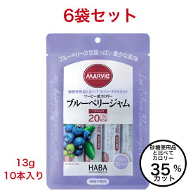 マービー ジャム ダイエット 低カロリー ブルーベリー ジャム 6袋 セット 砂糖不使用 13g 10本 還元麦芽糖水飴 スティック カロリーコントロール 使い切り まとめ買い 小分け 個包装 低カロリージャム スティックジャム