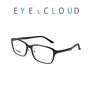 Vዾ Y Ch 傫 iD  VjAOX ͕␳p HOYA ^Yt EႢ xႢ  u[Jbg P[Xt ACNEh EC1114