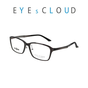 Vዾ Y Ch 傫 iD  VjAOX ͕␳p HOYA ^Yt EႢ xႢ  u[Jbg P[Xt ACNEh EC1114