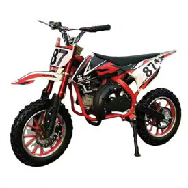 オリジナルスクーター 50cc キッズポケットバイク 本体 2ストエンジン ブレーキ ミニ バイク 原付 ガソリン 50cc