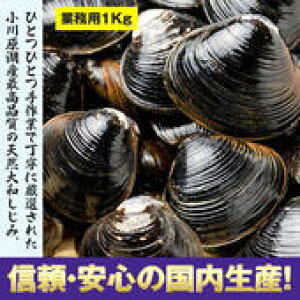 yⓀz  X쌴ΎY a wⓀVW~x(12kg(1kg×12) S̐X쌴΋Ƒgސ y12Zbgz  VW~  Ij` JVE ̑ ̋@\ ̋@\