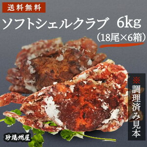 yⓀz  \tgVFNu (1kg(18)) ht[Y  I  O H dqW Xg JtF Nu ~}[ EI C^A  芪 sushi j[