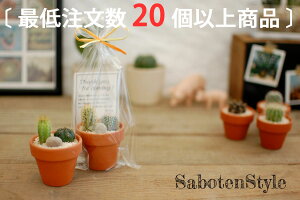 ミニ サボテン プレゼントの人気商品 通販 価格比較 価格 Com