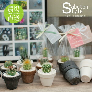 y T{e A@v`Mtg / GRPOT@Sz/ zCgf[ j v[g Mtg  ސE  񂹐A AW ~jT{e ϗtA 킢   ̓ ̓ 