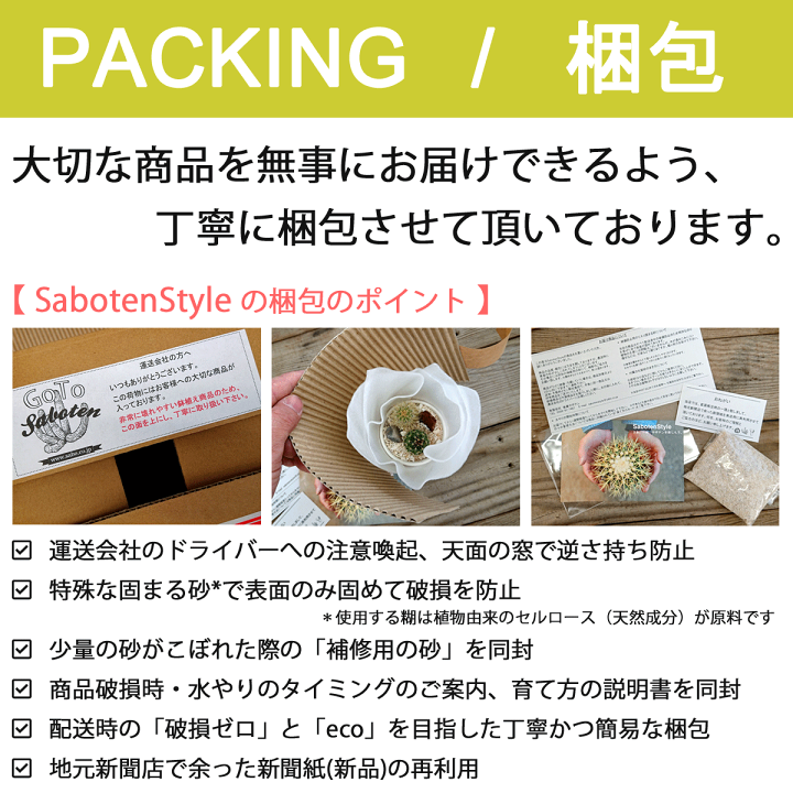 楽天市場】【 サボテン 多肉植物 プチギフト / エコPOT S