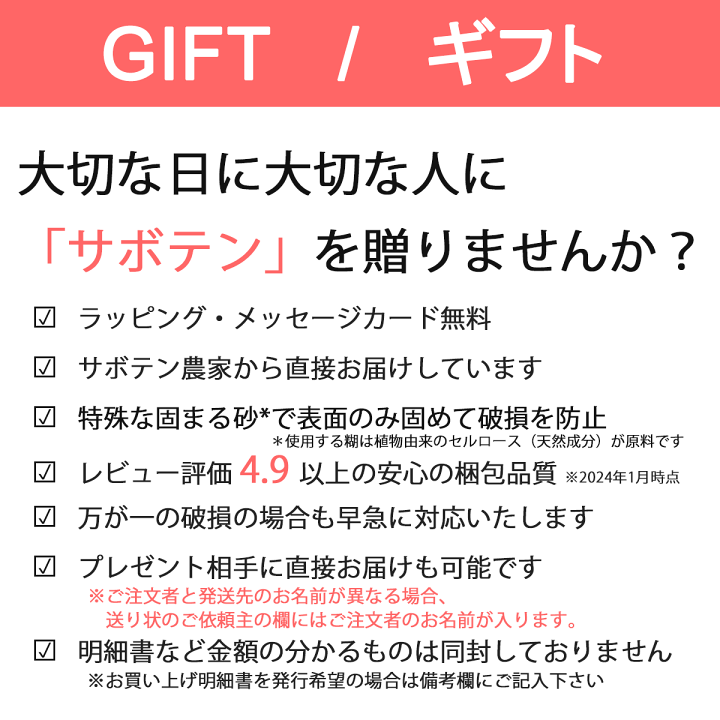 楽天市場】【サボテン 多肉植物 6種類 寄せ植え / レクト L