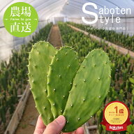 【無農薬栽培 春日井産】 食べるサボテン ノパル 400g | ウチワサボテン ノパール ノパレス NOPAL | メキ…