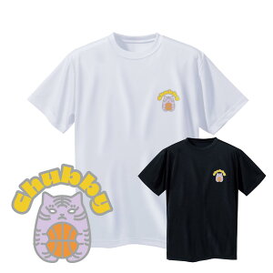 oXP TVc WjA EFA |Cg}[N uChubbyigjv  K@VL[^b`@(m[XACh) NORTHISLAND