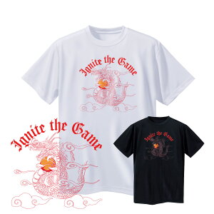 oXP TVc WjA  K uIgnite the Gamev NORTHISLAND m[XACh