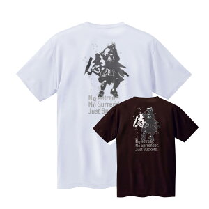 oXP TVc WjA EFA uV[^[v  K (m[XACh) NORTHISLAND