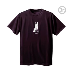 oXP TVc WjA uToughv  K m[XACh(NORTHISLAND)