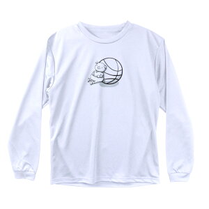 oXP T Y uƋxeEEEv  K (m[XACh) NORTHISLAND