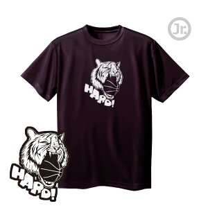 oXP TVc WjA uHARDv  K m[XACh(NORTHISLAND)