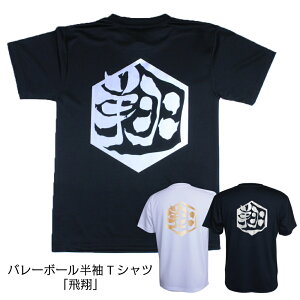 バレーボール 練習着 文字 ジュニア 半袖 Tシャツ 「飛翔」 (ノースアイランド) NORTHISLAND