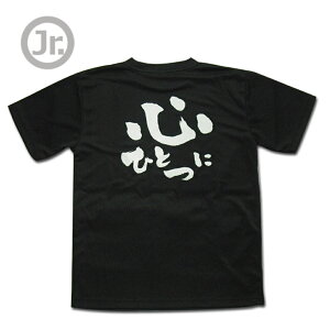 o[{[ K  WjA  TVc uSЂƂɁv (m[XACh) NORTHISLAND