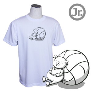 o[{[ K WjA  TVc uƋxeEEEv (m[XACh) NORTHISLAND