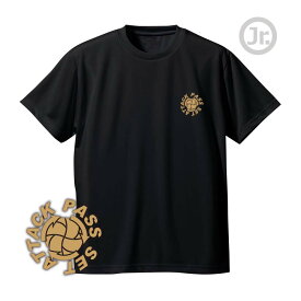 バレー 練習着 半袖 ジュニア 左胸ワンポイントマーク 「パス・セット・アタック」 Tシャツ ノースアイランド(NORTHISLAND)