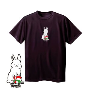 o[{[ K Y  uToughv TVc m[XACh(NORTHISLAND)