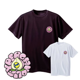 バレーボール 練習着 メンズ 半袖 左胸ワンポイントマーク 「ピーチバレー」 Tシャツ ノースアイランド(NORTHISLAND)