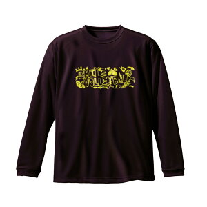 バレー 練習着 長袖 メンズ 「SMILE VOLLEYBALL」 ロンT ノースアイランド(NORTHISLAND)