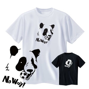 TbJ[ TVc LbY uNo Way!v WjA  K eqR[f hCf m[XACh(NORTHISLAND)