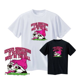 TbJ[ TVc LbY uKick Somethingv WjA  K eqR[f hCf m[XACh(NORTHISLAND)