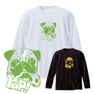 TbJ[ fBXEY TVc uYup!v K  m[XACh(NORTHISLAND)