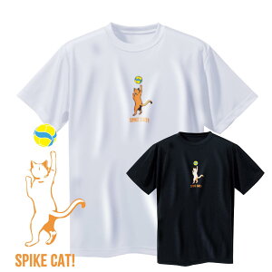 o[{[ K  WjA TVc uSpike Cat!v (m[XACh) NORTHISLAND