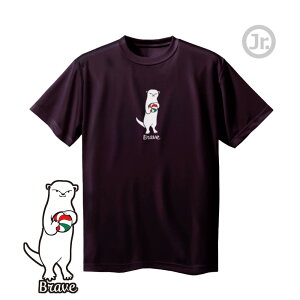 o[{[ K  WjA uBravev TVc m[XACh(NORTHISLAND)