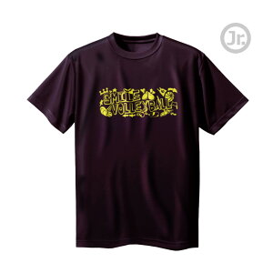 o[{[ K  WjA uSMILE VOLLEYBALLv TVc m[XACh(NORTHISLAND)