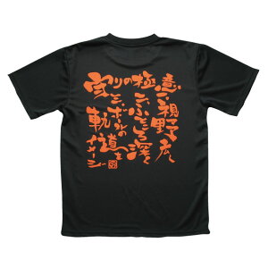 o[{[ K Y   TVc űɈӁv (m[XACh) NORTHISLAND