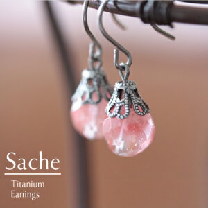 sAX AM[ `^ TVF sache qp sAX/iFy`^sAXzÂ`F[NI[c̃sAXi`^tbNACOIׂj