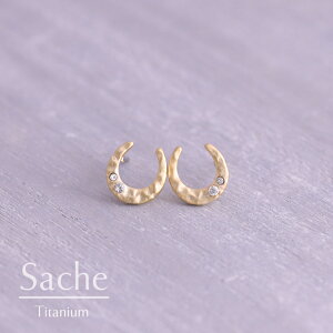 sAX AM[ `^  }bgS[h n TVF sache qp sAX/iFy`^sAXzSpark Horseshoe PnsAX