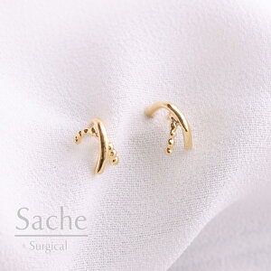 sAX AM[  TVF sache qp sAX/iFyT[WJXeXsAXzChloe