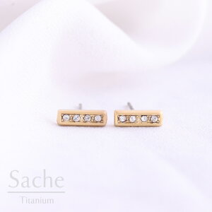 AM[Ή sAX  `^ }bgS[h o[sAX  TVF sache qp sAX/iFy`^sAXzRitva