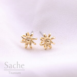 AM[Ή sAX  `^  t[ S[h TVF sache qp sAX/iFy`^sAXzfleul