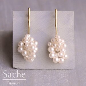 sAX AM[ `^ p[ S[h w Ǝ    IP[W TVF sache qp sAX/iFy`^sAXztFCNp[̃u`s