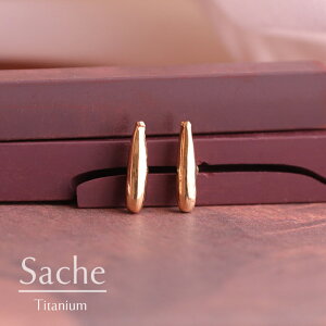 sAX AM[Ή `^ S[h eBAhbv  TVF sache qp sAX/iFy`^sAXzIreneiClj