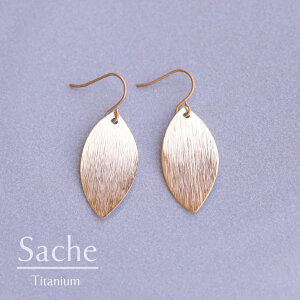 y2025N3Viz`^sAX AM[ `^tbN t ؂̗t {^jJ [t sAX S[h TVF sache qp sAX/iFy`^sAXzRauzier