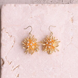 y2025N11VizAM[Ή sAX `^tbN Ԃ S[h TVF sache qp/iFy`^sAXzAmalia