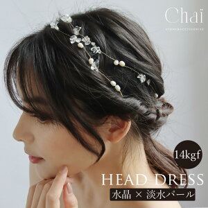 wbhhX Wp[  wAANZT[  wAhX uC_  l Ǝ ܎O \ a hX 14kgf C[ AM[Ή