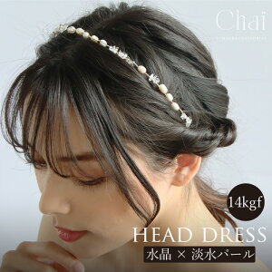 wbhhX Wp[  wAANZT[  wAhX uC_  l Ǝ ܎O \ a hX 14kgf C[ AM[Ή