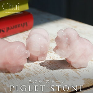 VR Ԃ  u^ sObg  Aj}  u  ^ q ƓS CeA [YNH[c p[Xg[ [YNI[c q[O  sN  e  Ro