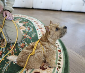 オールインワンハーネス 【HOZI】【全国送料無料】韓国ブランド ハーネス一体型 リード ハーネスリード 犬 小型犬 中型犬 大型犬 ハーネス犬用 犬リードハーネス ロープリード 散歩ひも や