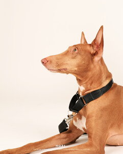 }[`Q[ yHOZIzySz ؍uh }[`Q[ J[  p 킢 ̎ ʎ ֑^  J[ pJ[ 炩 􂦂 