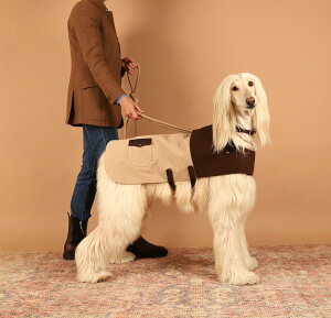 V쁚[NWPbg yHOZIz ̕ I[V[Y S ^ ^ ^ U  p m y ybg̕   ̎q j̎q   ybgEGA 