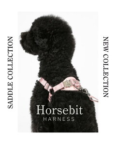 z[Xrbgn[lX yHOZIz  n[lX tBbg ^ ^ ^  hbOn[lX _炩 SȂ n[lX 􂦂 y ̎q j̎q  IV