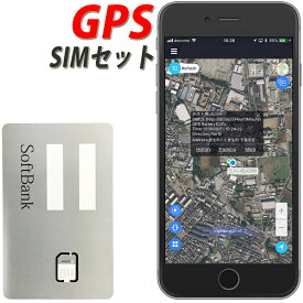 45日SIMセット GPS 発信機 リアルタイム 小型 浮気調査 勤怠管理 車両取付 スマホアプリ ロガー 車載 バッテリーLサイズ