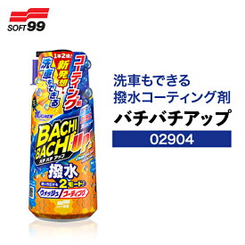 SOFT99 ALAUNEN バチバチアップ ウォッシュ＆コート 02904 カーシャンプー コーティング 撥水コーティング 洗車 強力 ボディ ガラス コーティング施行車対応 ノーコンパウンド 洗車用品 洗車グッズ 洗剤 カー用品 自動車 車 おすすめ
